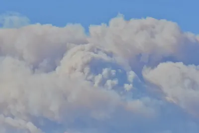 DSC_5602 (Large).JPG